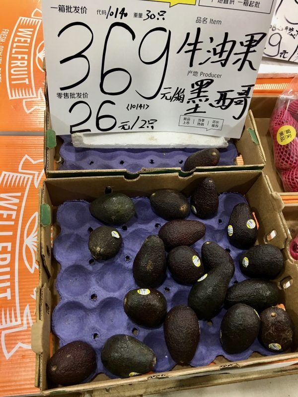 How To Make A Fortune In China Avocado Market Sinostep