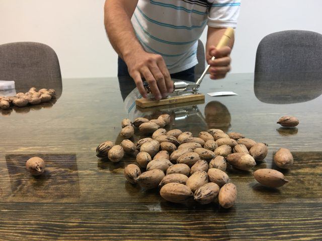 Sell pecans to Chinese big buers