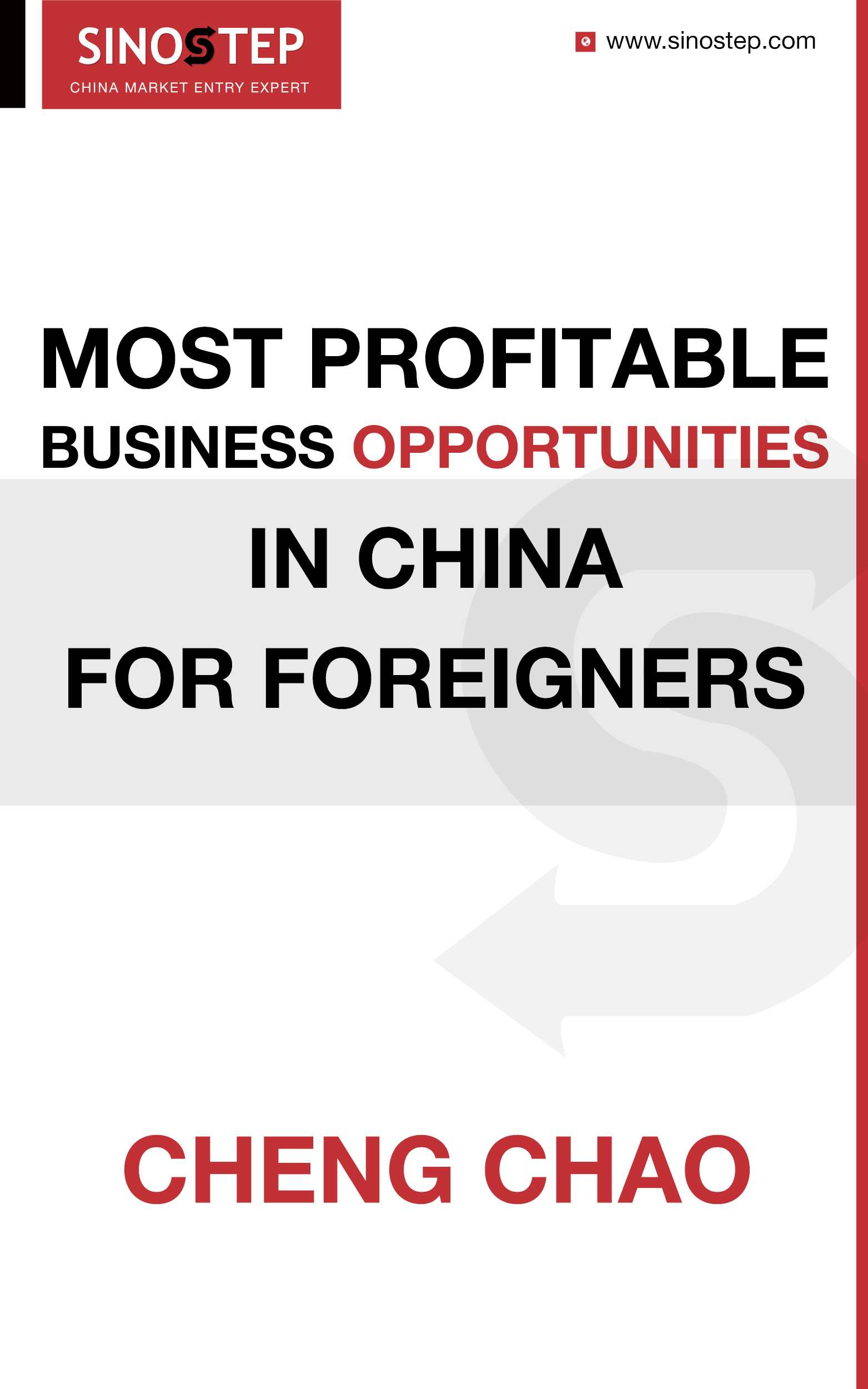 Most Profitable Business Opportunities in China for Foreigners